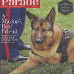 Military Dog Tribute